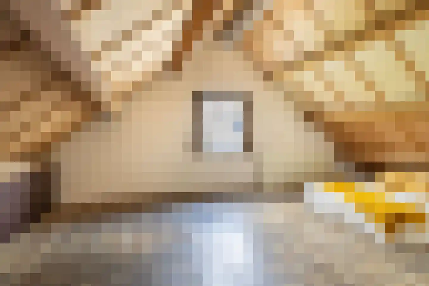 Gytsjerksterhoeke 15 Gytsjerk thumbnail 34