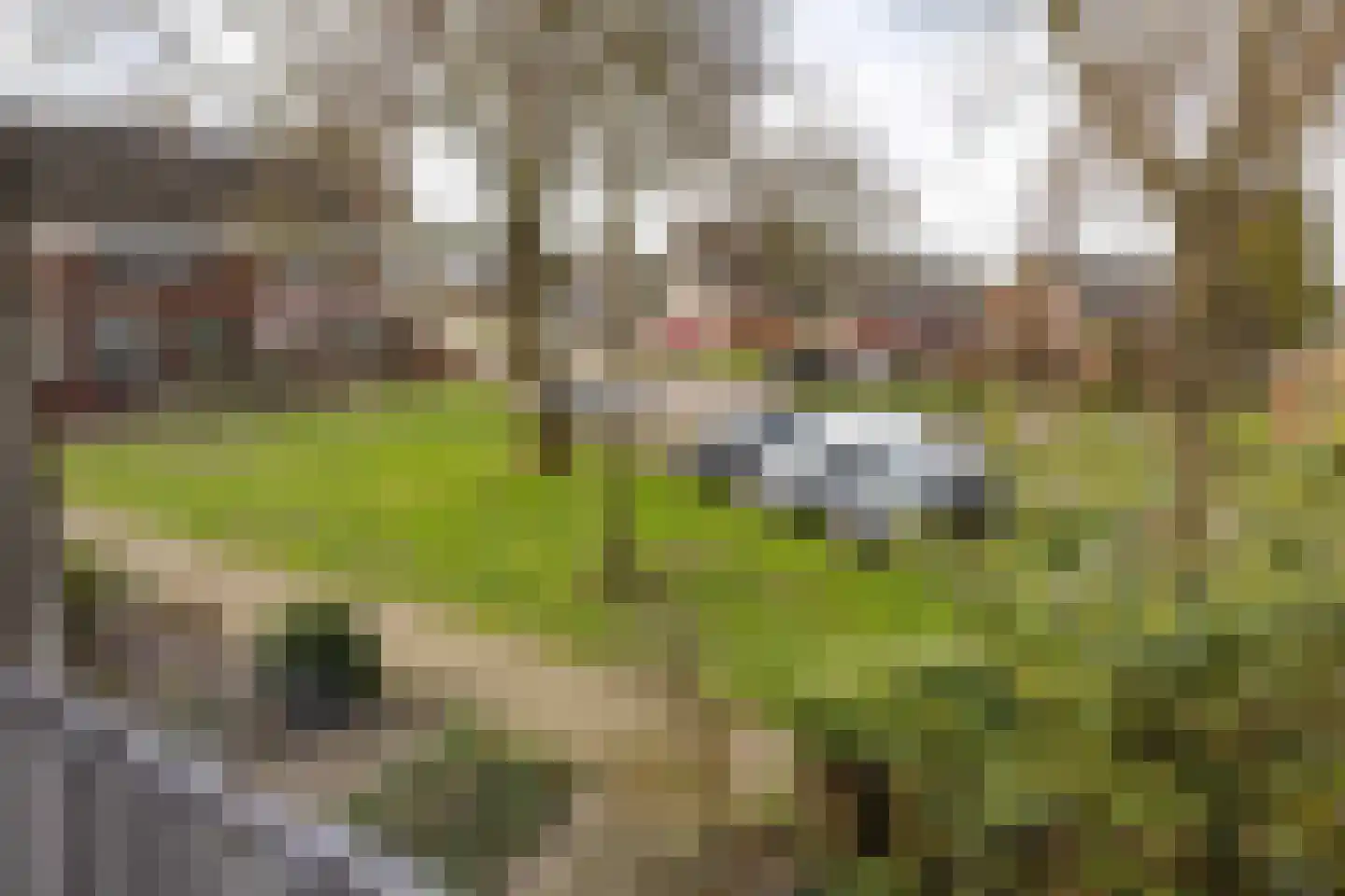 Gytsjerksterhoeke 15 Gytsjerk thumbnail 38