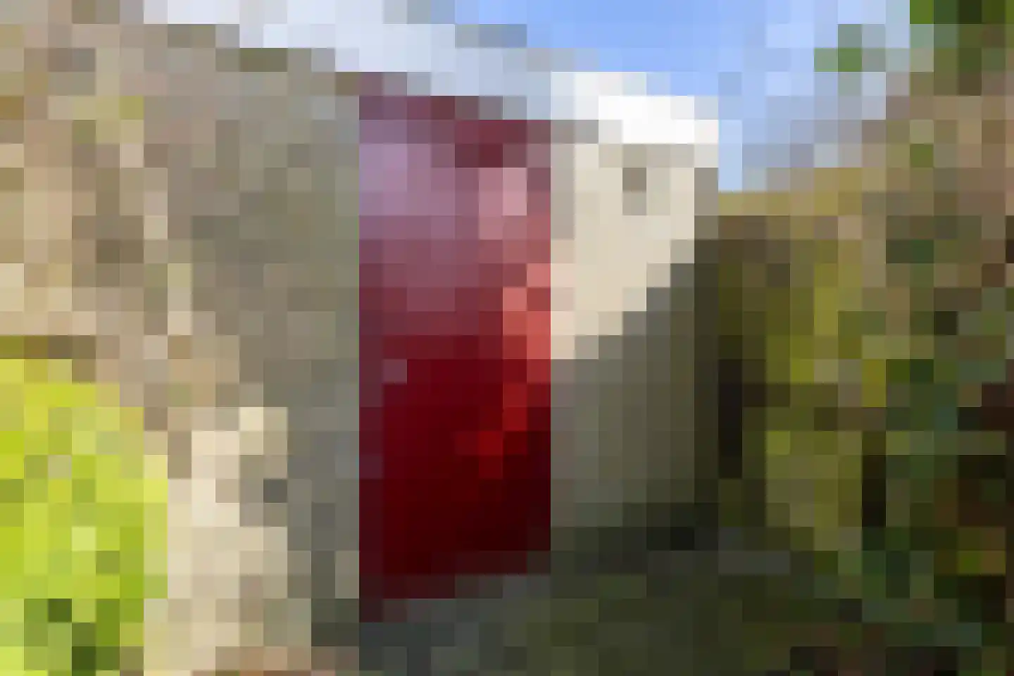 Gytsjerksterhoeke 15 Gytsjerk thumbnail 44