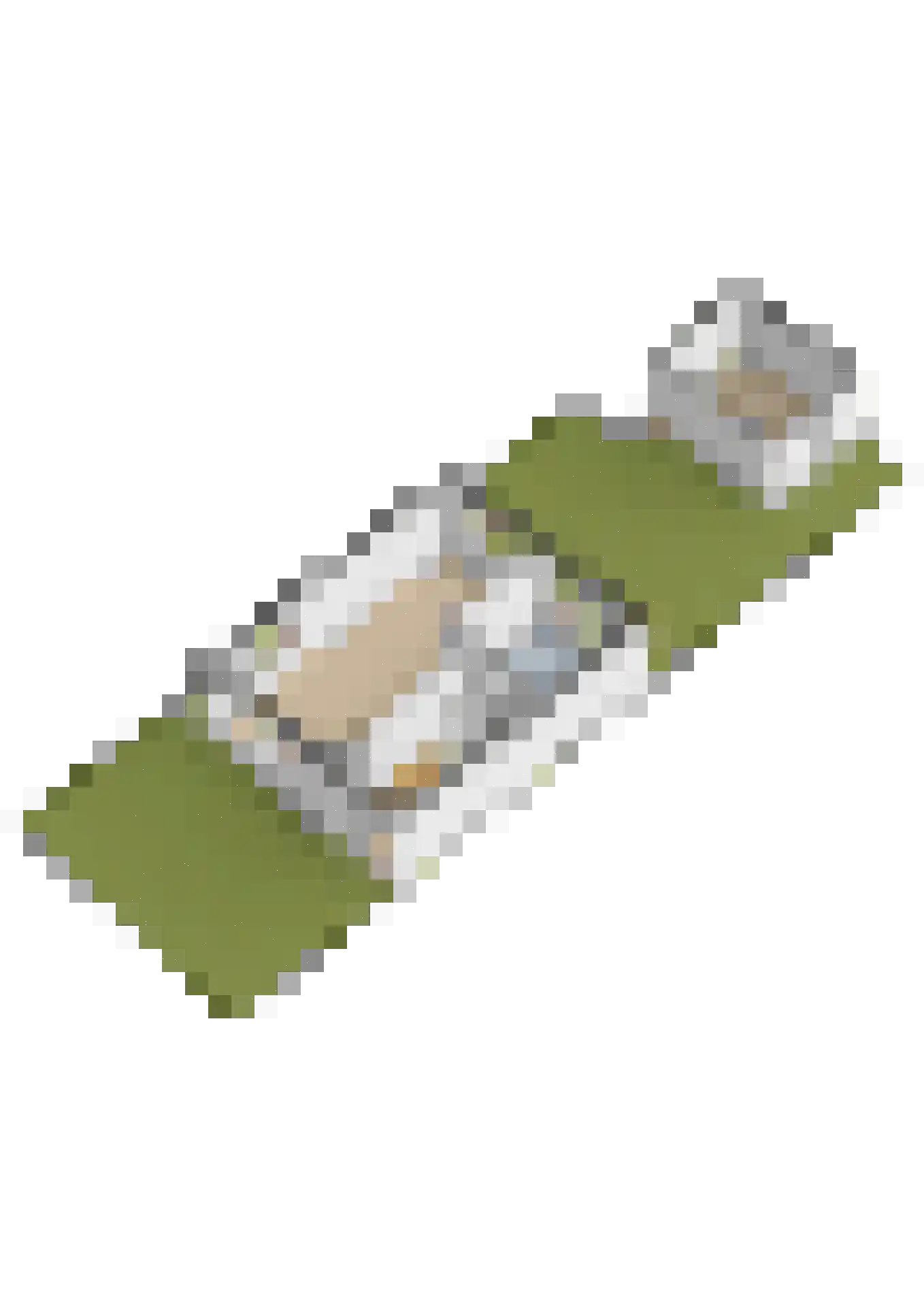 Gytsjerksterhoeke 15 Gytsjerk thumbnail 54