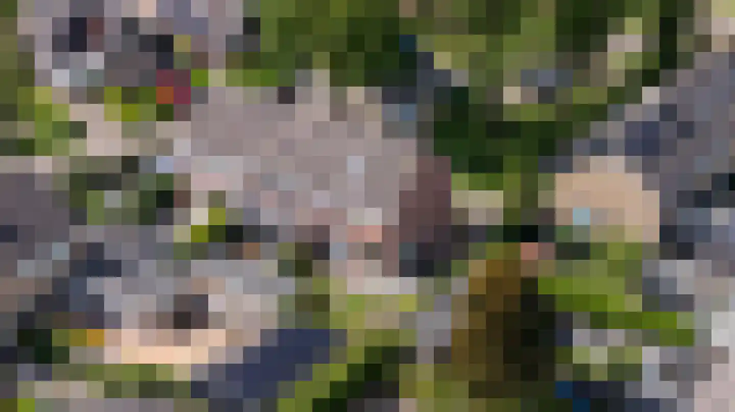Gytsjerksterhoeke 23 Gytsjerk foto 2
