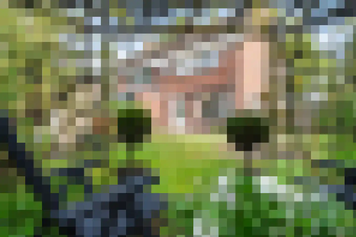 Gytsjerksterhoeke 23 Gytsjerk thumbnail 20