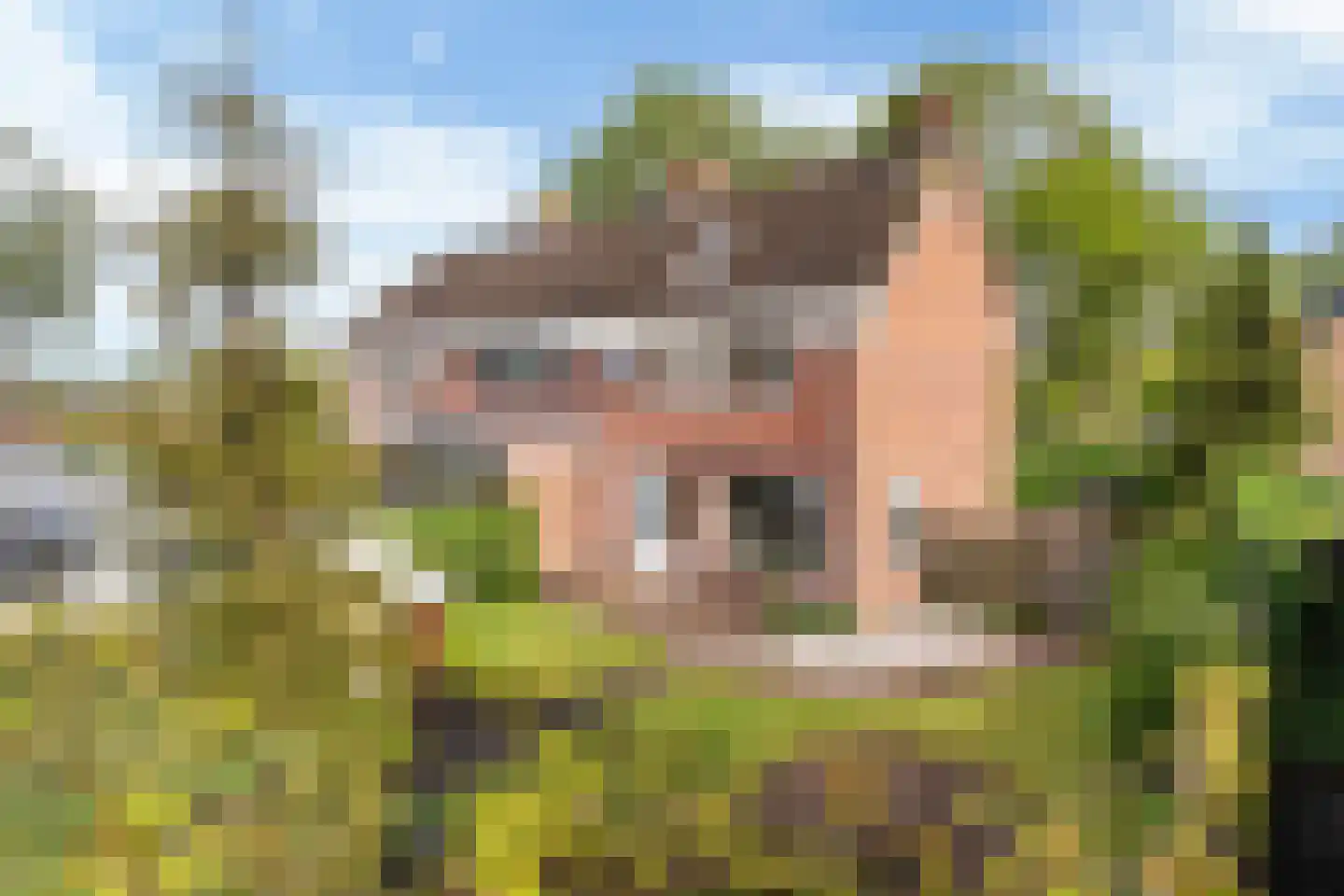 Gytsjerksterhoeke 23 Gytsjerk foto 3