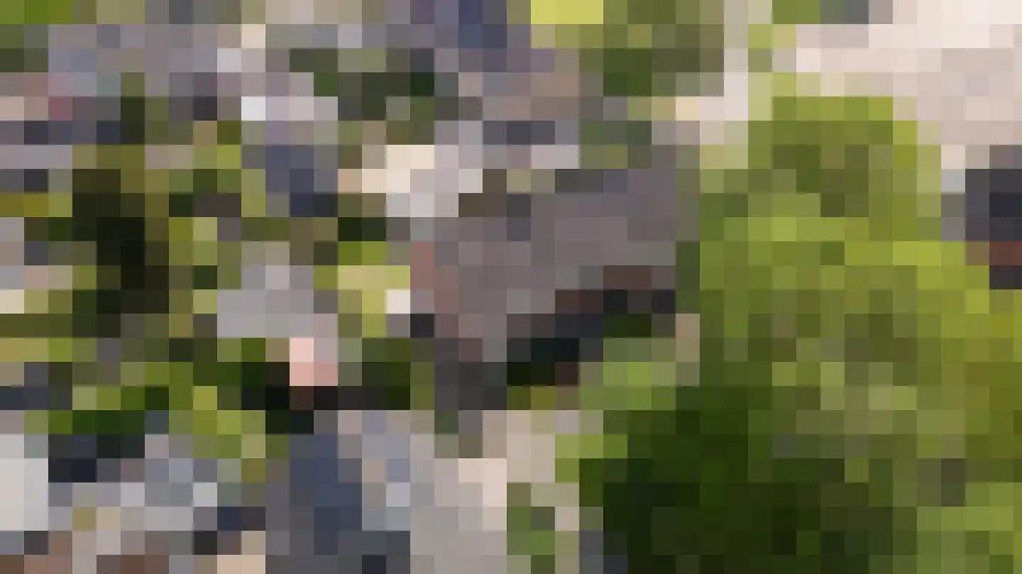 Gytsjerksterhoeke 23 Gytsjerk thumbnail 49