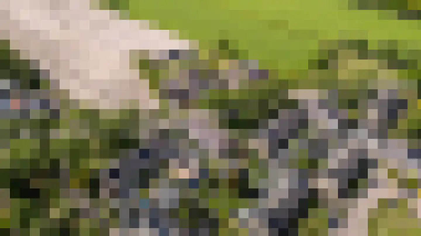 Gytsjerksterhoeke 23 Gytsjerk thumbnail 50