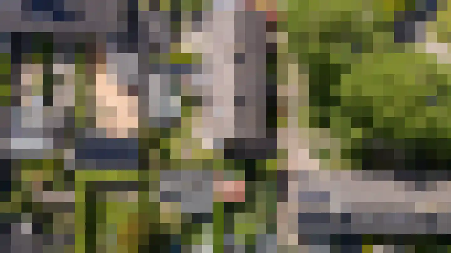 Gytsjerksterhoeke 23 Gytsjerk thumbnail 53