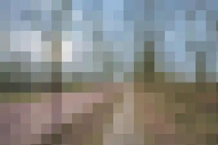 H.A.A.P. Verbuntstraat 7 Best thumbnail 37