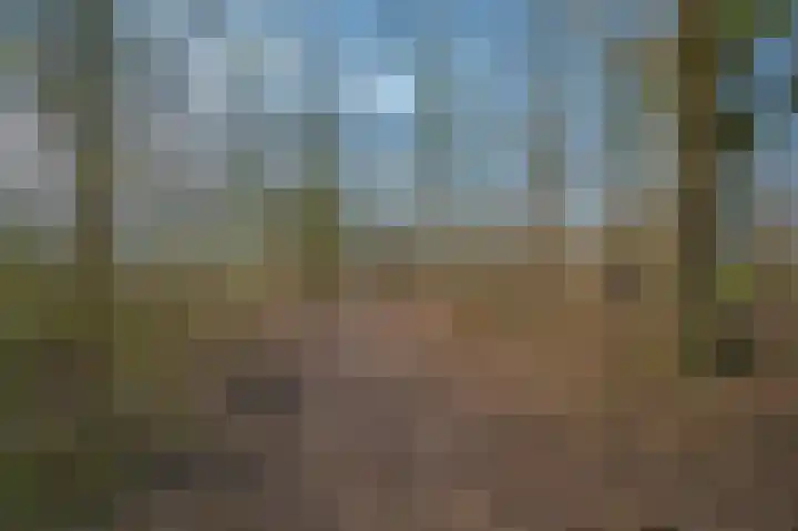 H.A.A.P. Verbuntstraat 7 Best thumbnail 39