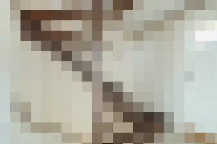 H.A.A.P. Verbuntstraat 9 Best thumbnail 11