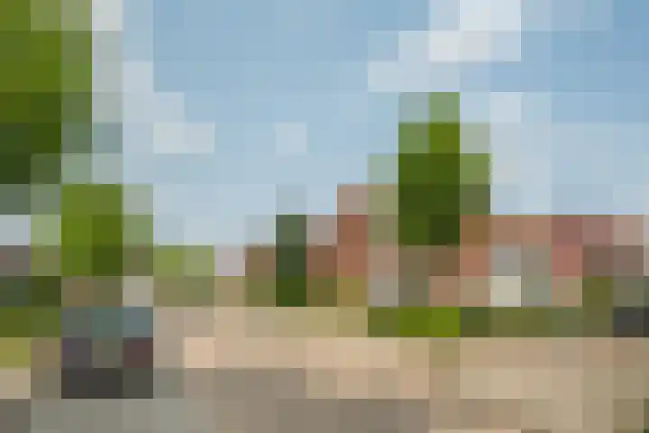 H.A.A.P. Verbuntstraat 9 Best thumbnail 21