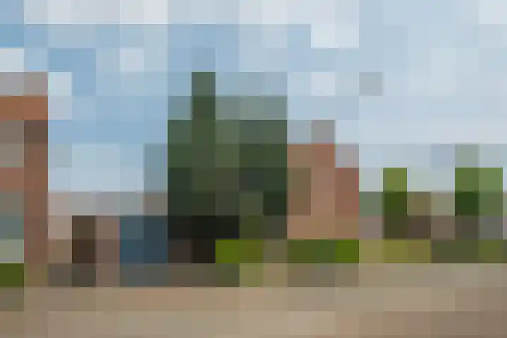 H.A.A.P. Verbuntstraat 9 Best thumbnail 5