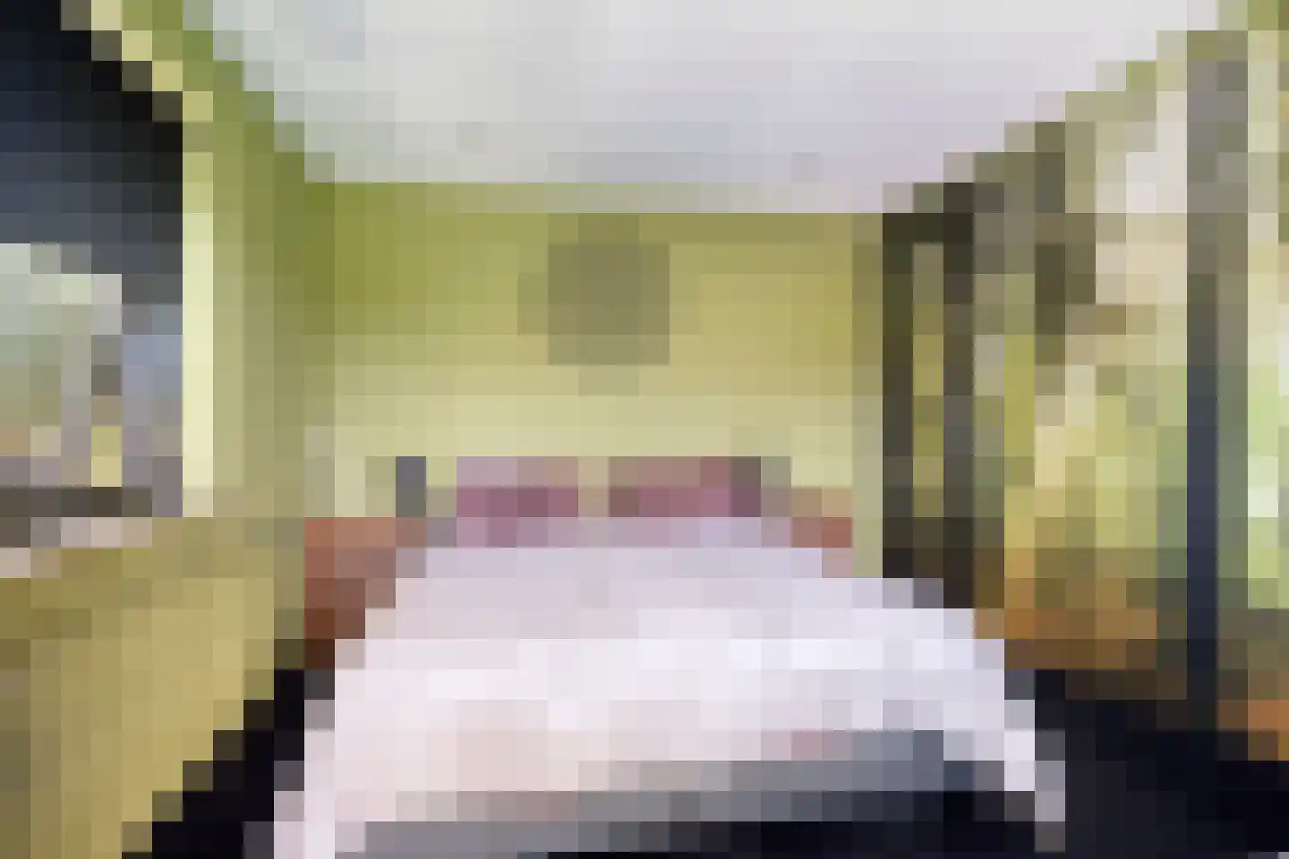 H A Hartholtstraat 15 Nijverdal thumbnail 17