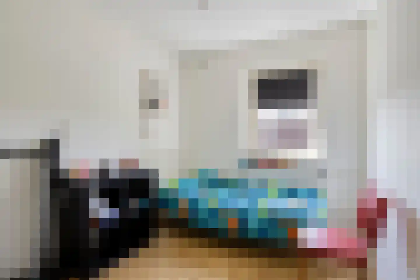 H A Hartholtstraat 15 Nijverdal thumbnail 19