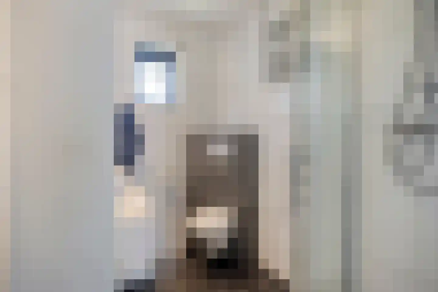 H A Hartholtstraat 15 Nijverdal thumbnail 21