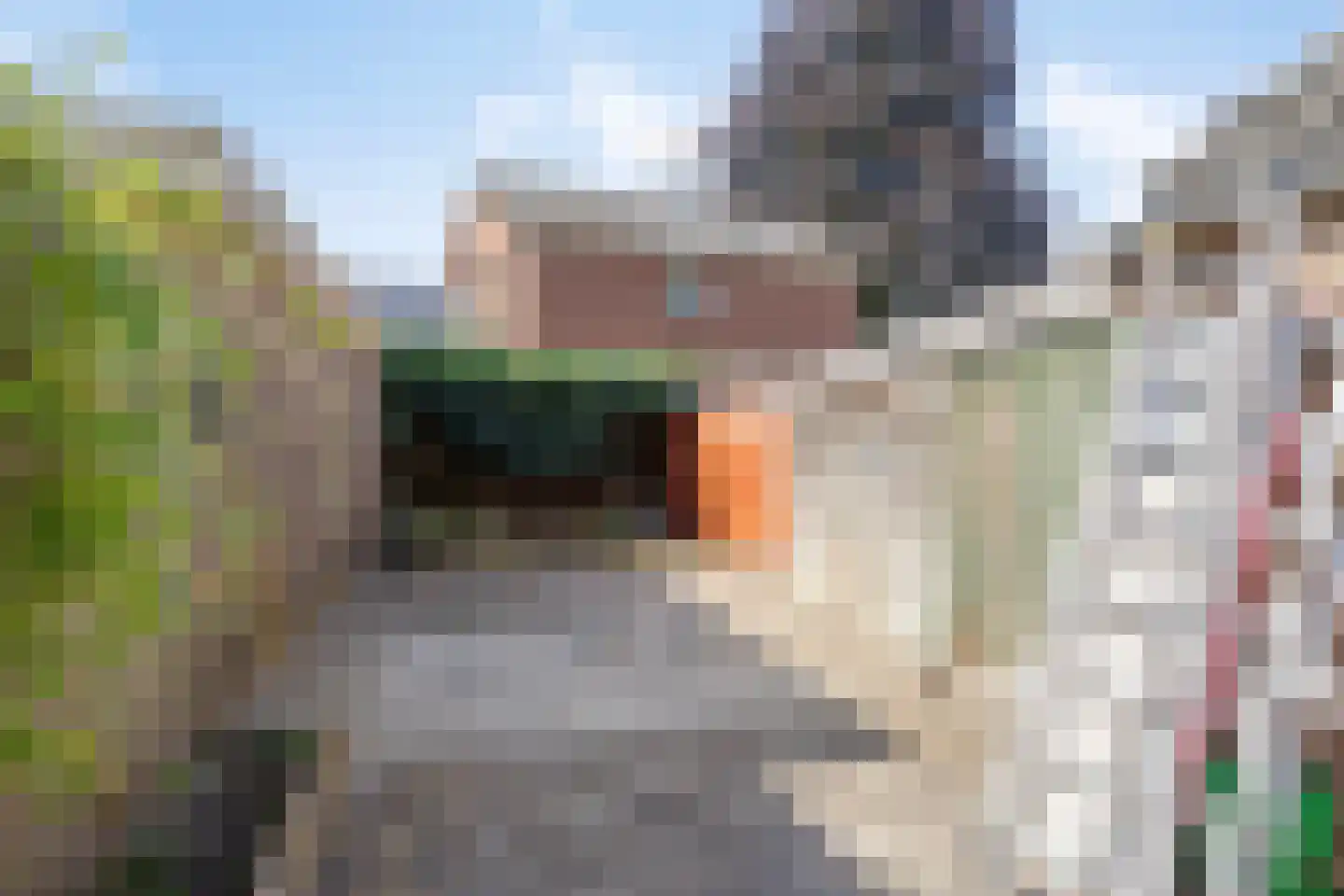 H A Hartholtstraat 15 Nijverdal thumbnail 29