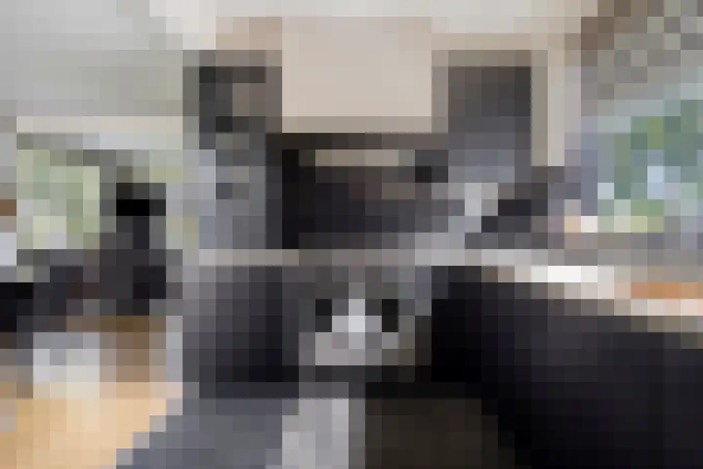 H A Hartholtstraat 15 Nijverdal thumbnail 4