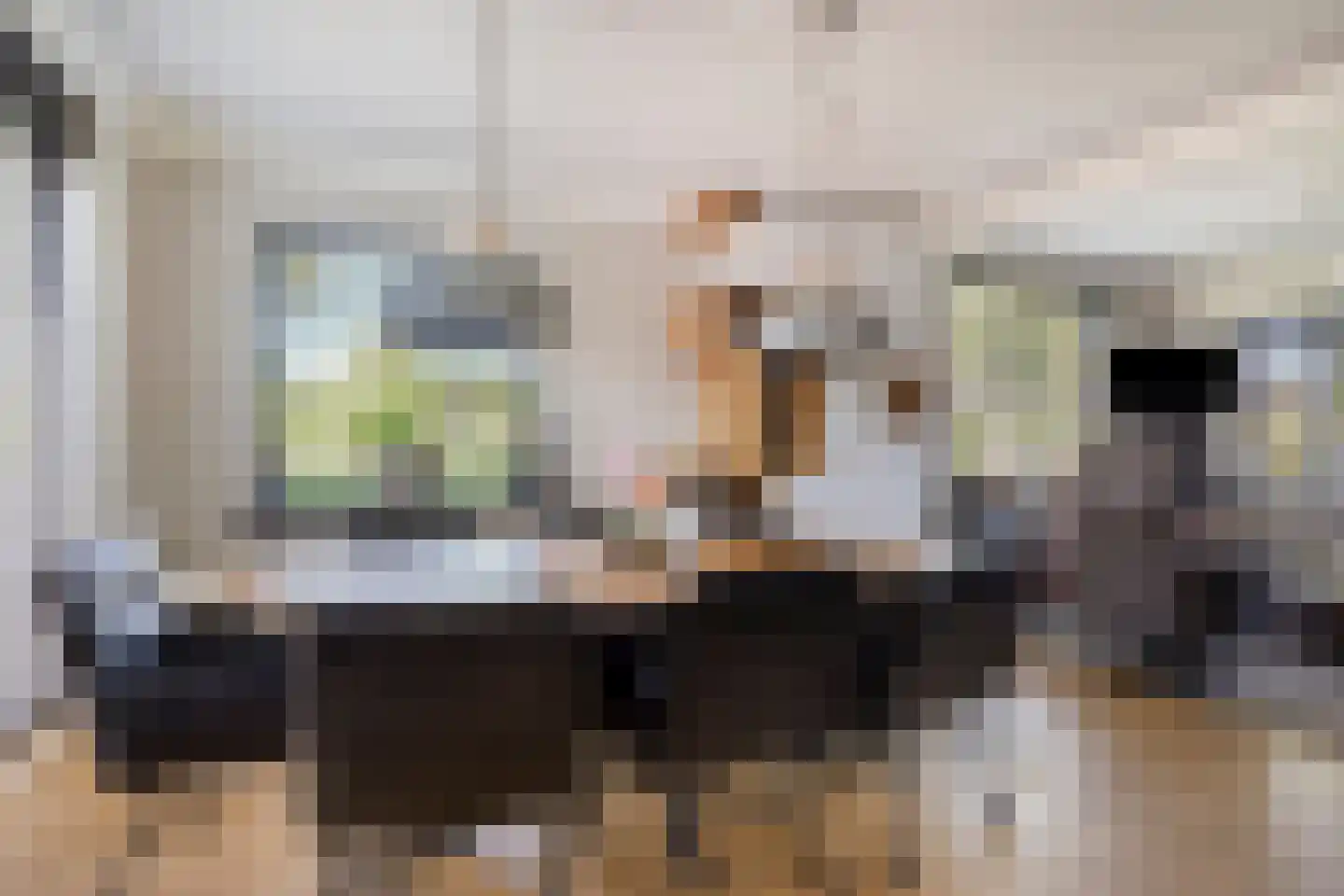 H A Hartholtstraat 15 Nijverdal thumbnail 8