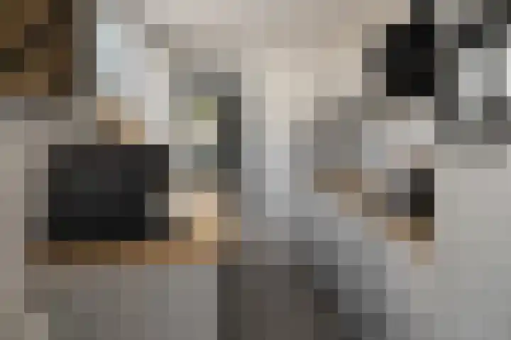 H.A. Lorentzstraat 214 Den Helder thumbnail 12