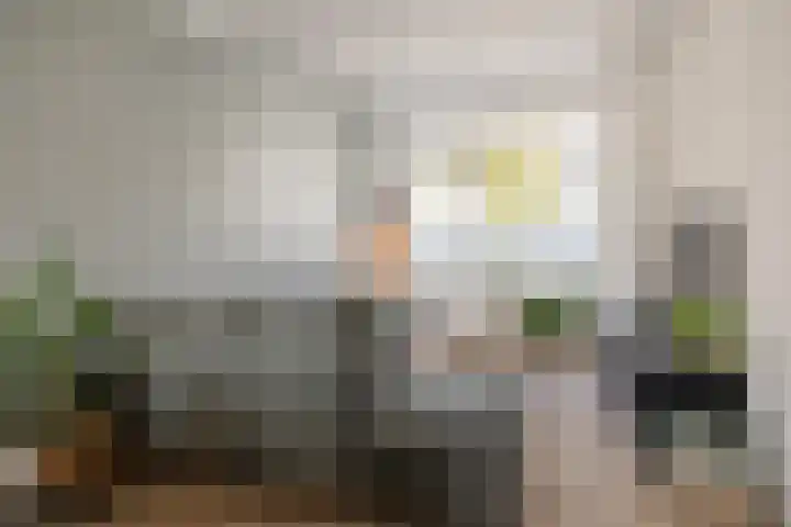 H.A. Lorentzstraat 214 Den Helder thumbnail 6