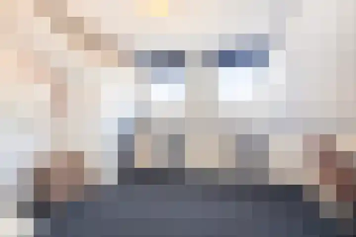 H.A. Lorentzstraat 93 Den Helder thumbnail 30
