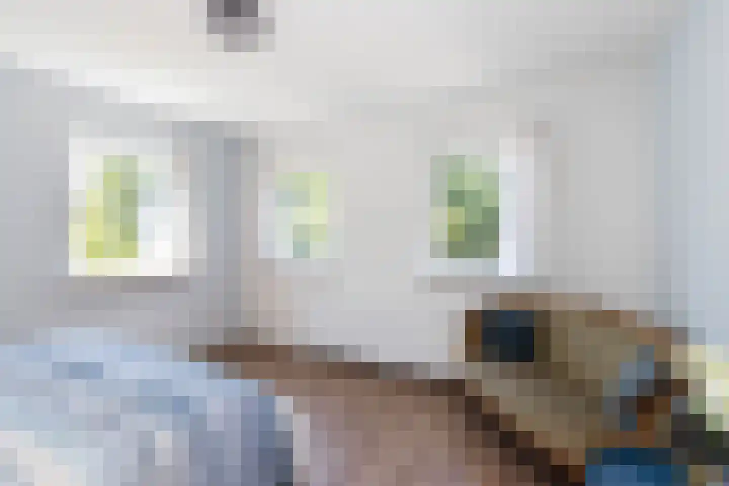 H.A. Lorentzweg 107 Bussum thumbnail 22