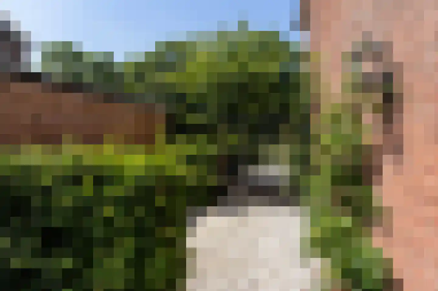 H.A. Lorentzweg 107 Bussum thumbnail 32