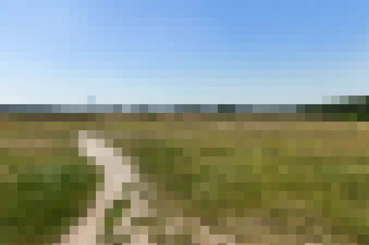 H.A. Lorentzweg 107 Bussum thumbnail 41