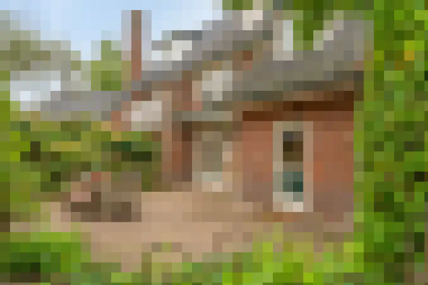 H.A. Lorentzweg 19 Bussum thumbnail 26