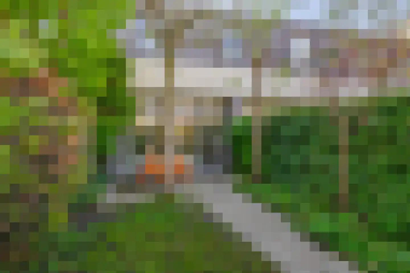 H.A. Maaskantstraat 51 Rotterdam thumbnail 23