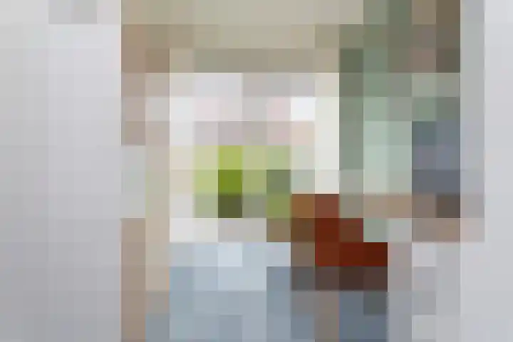 H.A. Maaskantstraat 9 Rotterdam thumbnail 10