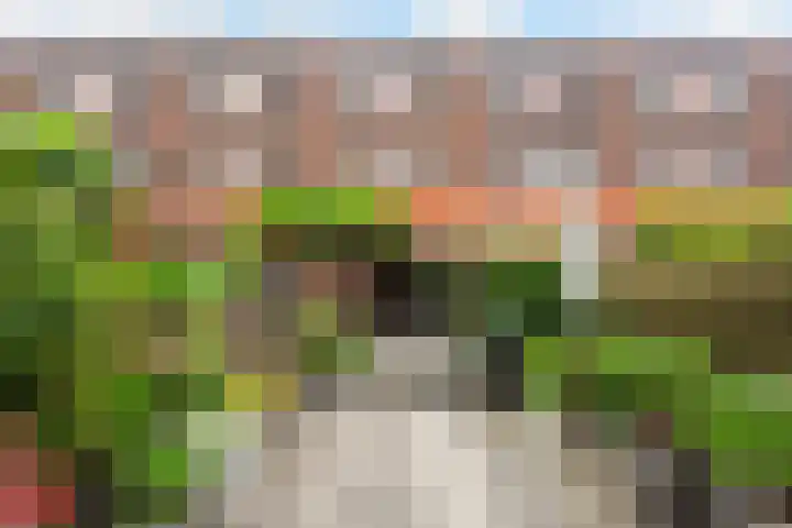 H.A. Maaskantstraat 9 Rotterdam thumbnail 24