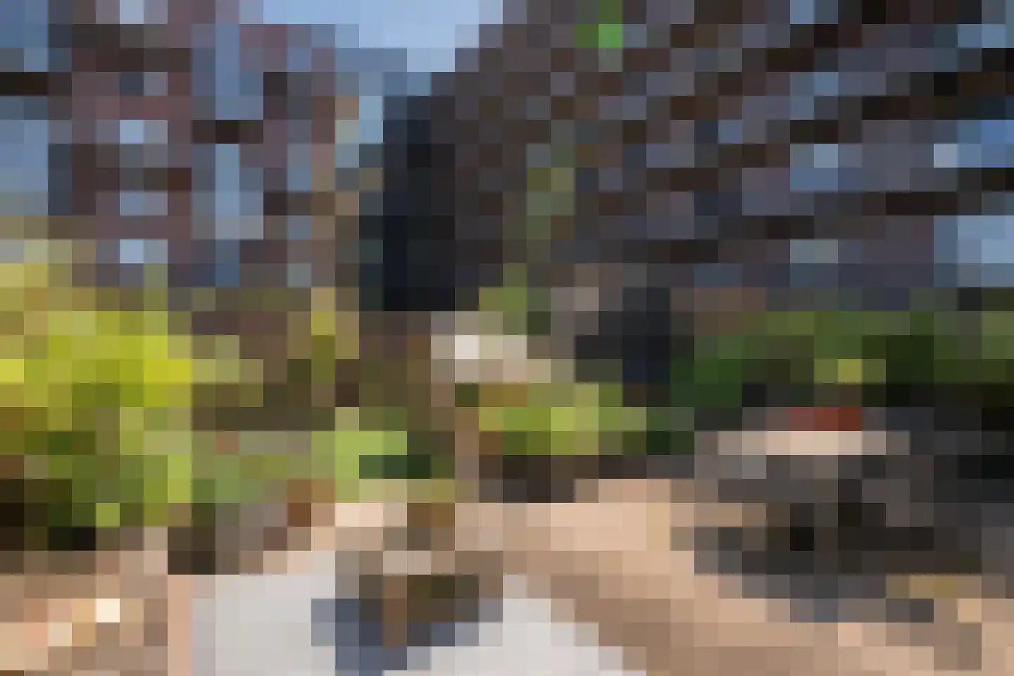 H.A. Maaskantstraat 92 Rotterdam thumbnail 29