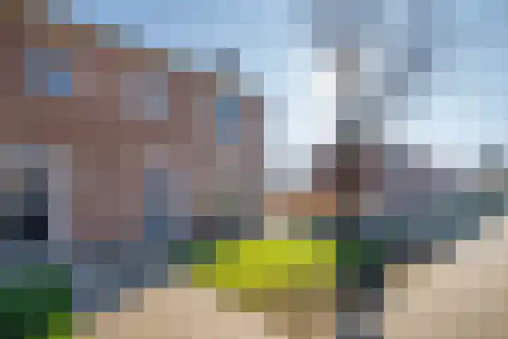 H.A. Schreuderstraat 53 Schoonhoven thumbnail 22