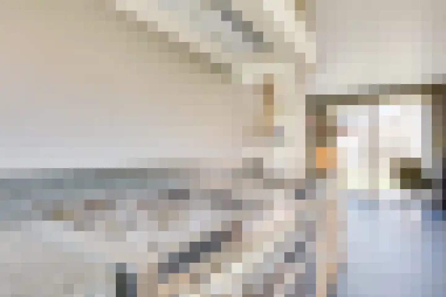 H. Adrianusstraat 8 Esbeek thumbnail 27