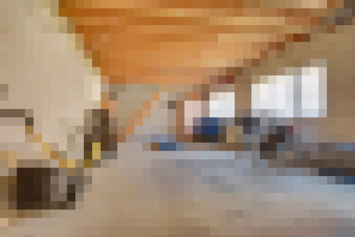 H. Adrianusstraat 8 Esbeek thumbnail 71