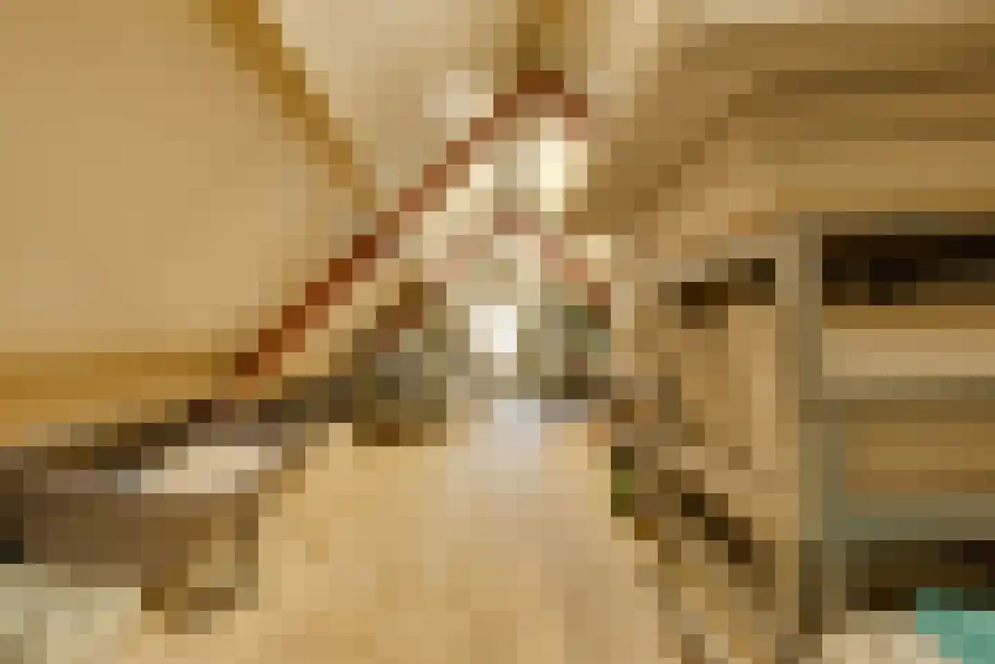 H. Adrianusstraat 8 Esbeek thumbnail 72