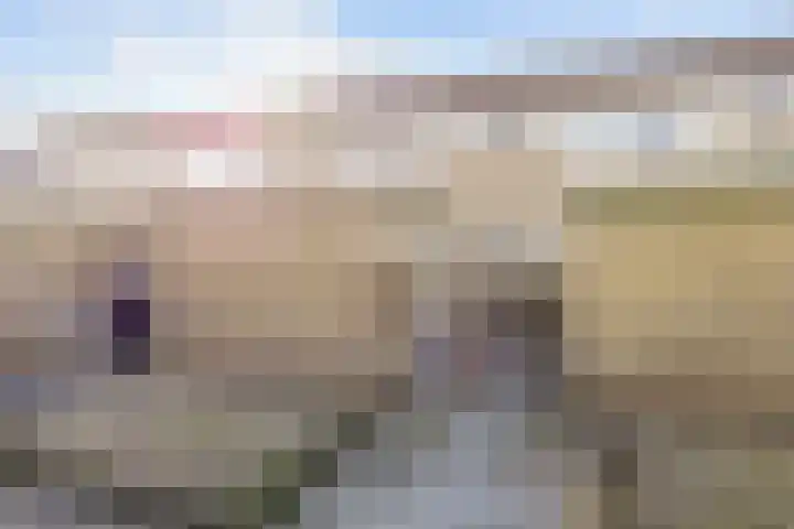 H Algraplein 17 Franeker thumbnail 10