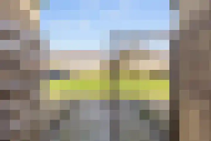 H Algraplein 17 Franeker thumbnail 13