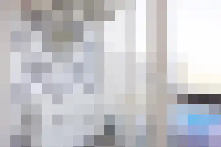 H Algraplein 17 Franeker thumbnail 16