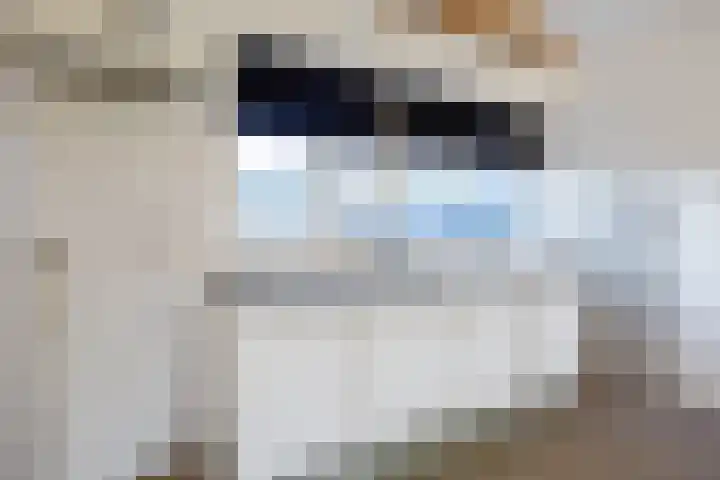 H Algraplein 17 Franeker thumbnail 24