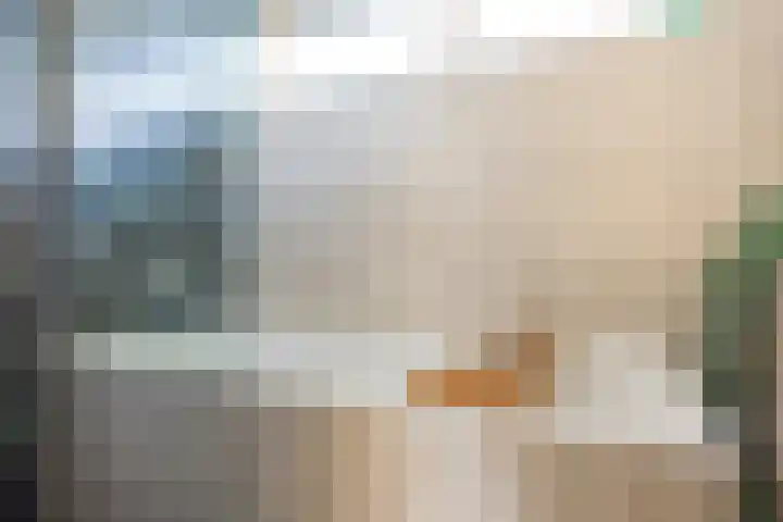 H Algraplein 17 Franeker thumbnail 34