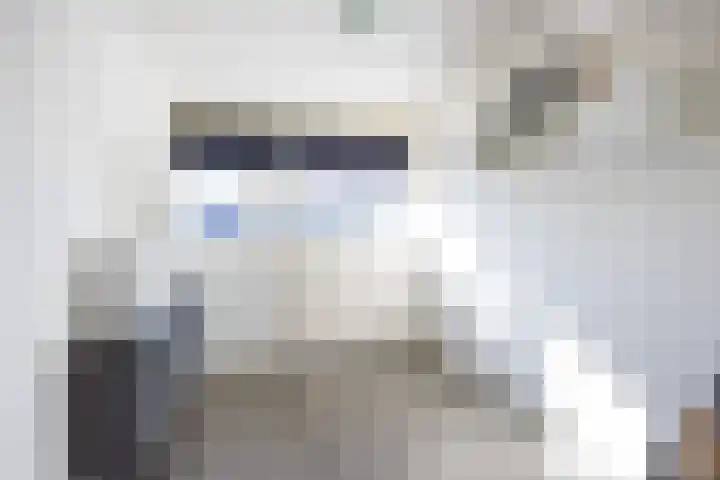H Algraplein 17 Franeker thumbnail 36