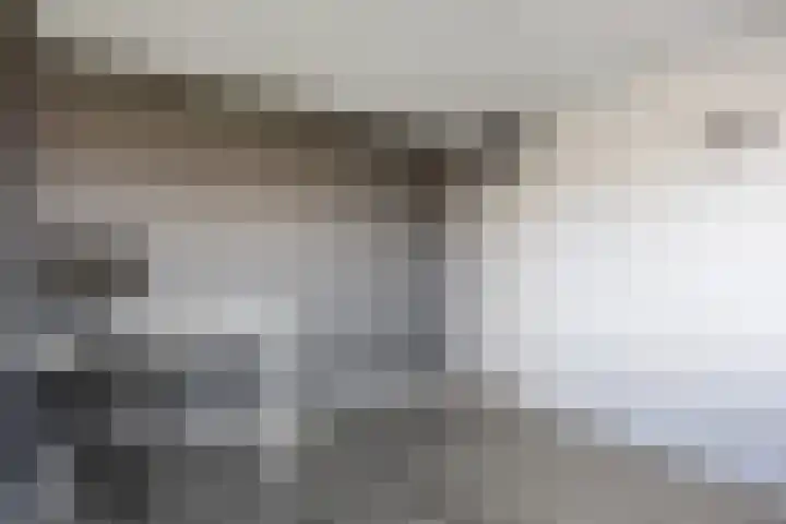 H Algraplein 17 Franeker thumbnail 38