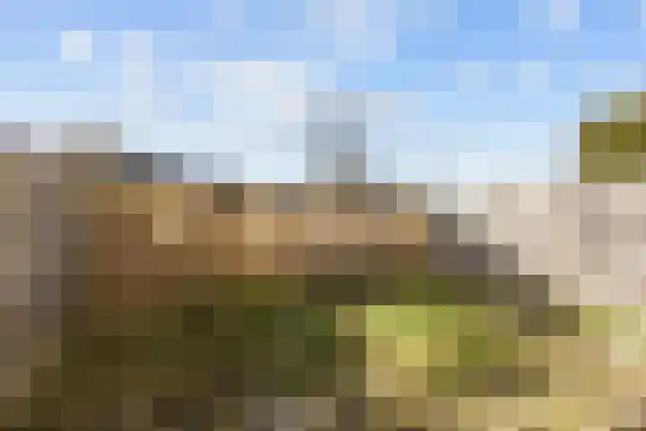 H Algraplein 17 Franeker thumbnail 42