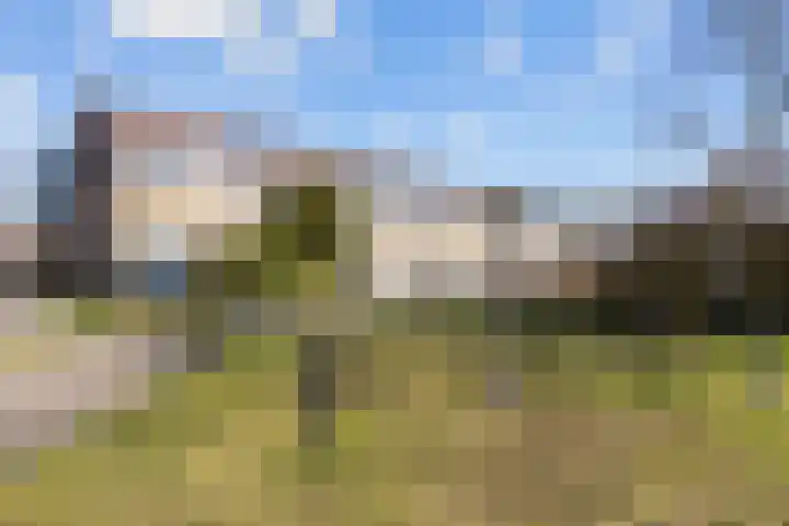 H Algraplein 17 Franeker thumbnail 44