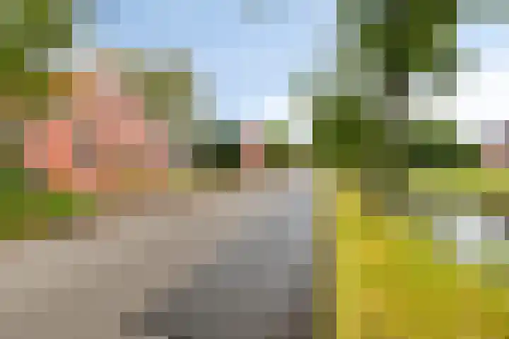 H.B. Hulsmanstraat I 25 Nieuwe Pekela thumbnail 4