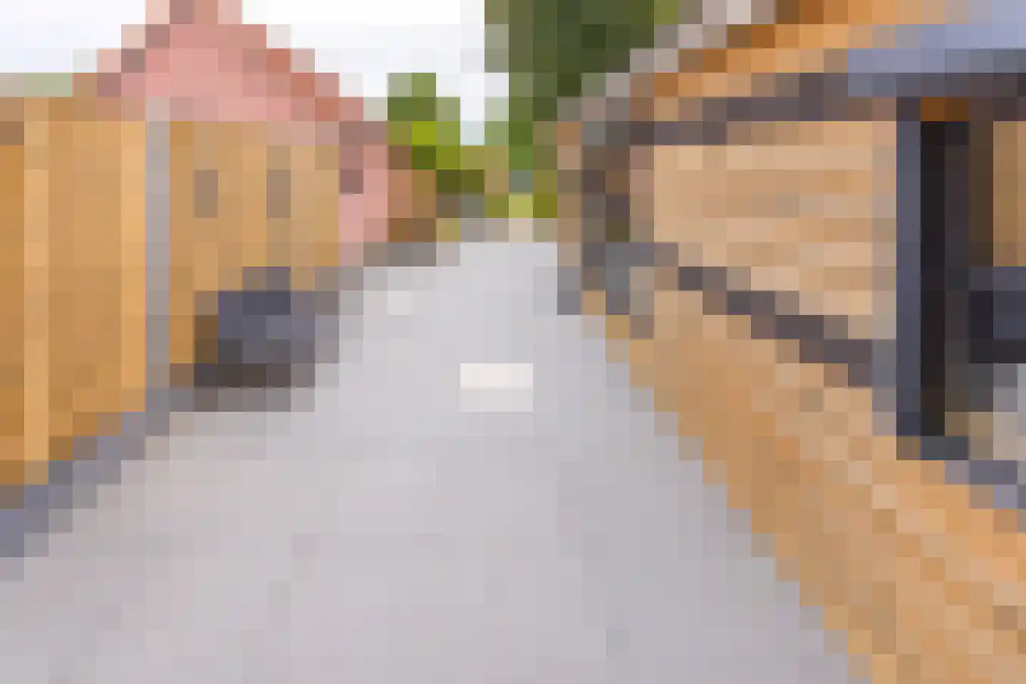 H.B. Hulsmanstraat I 32 B Nieuwe Pekela thumbnail 34