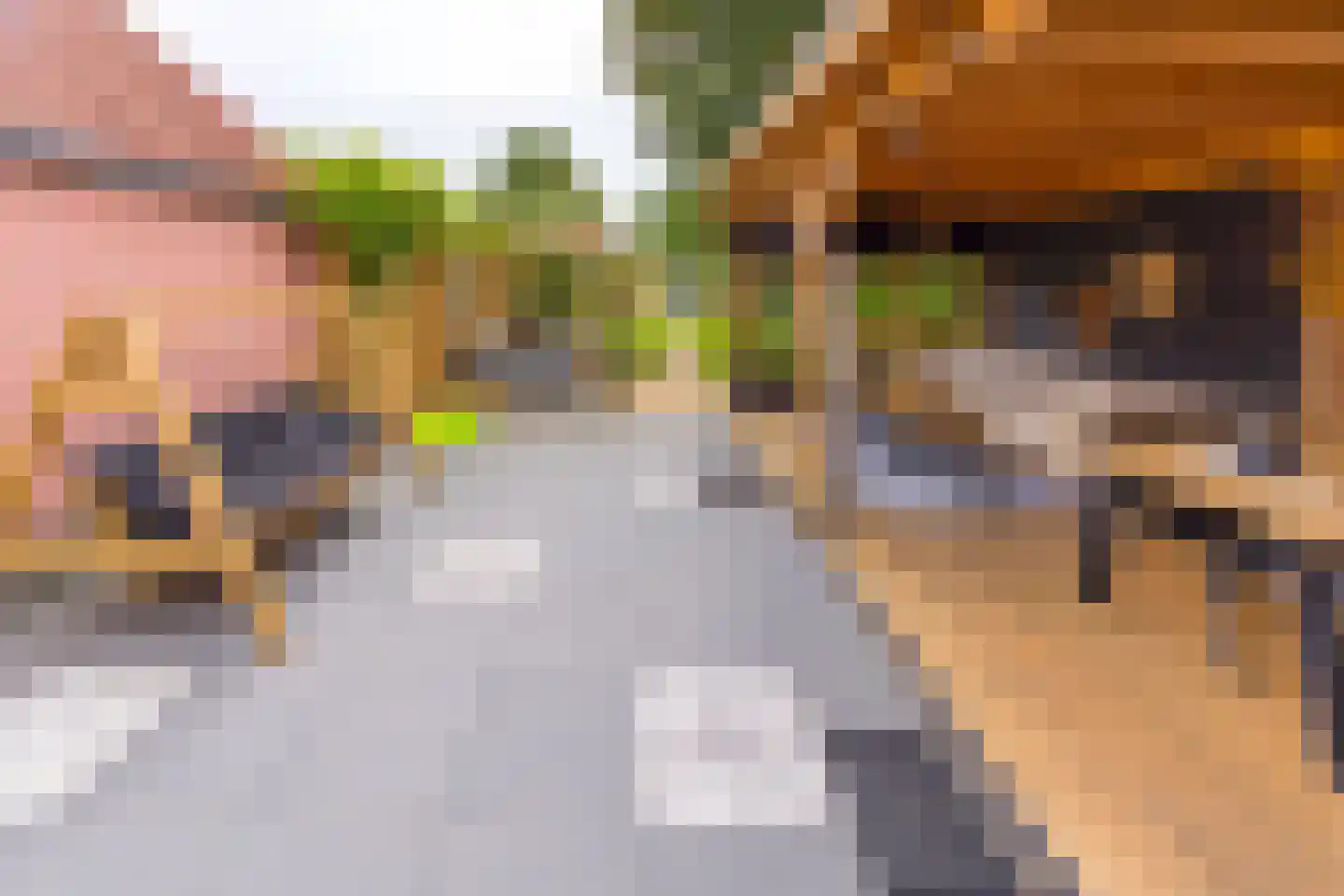 H.B. Hulsmanstraat I 32 B Nieuwe Pekela thumbnail 37