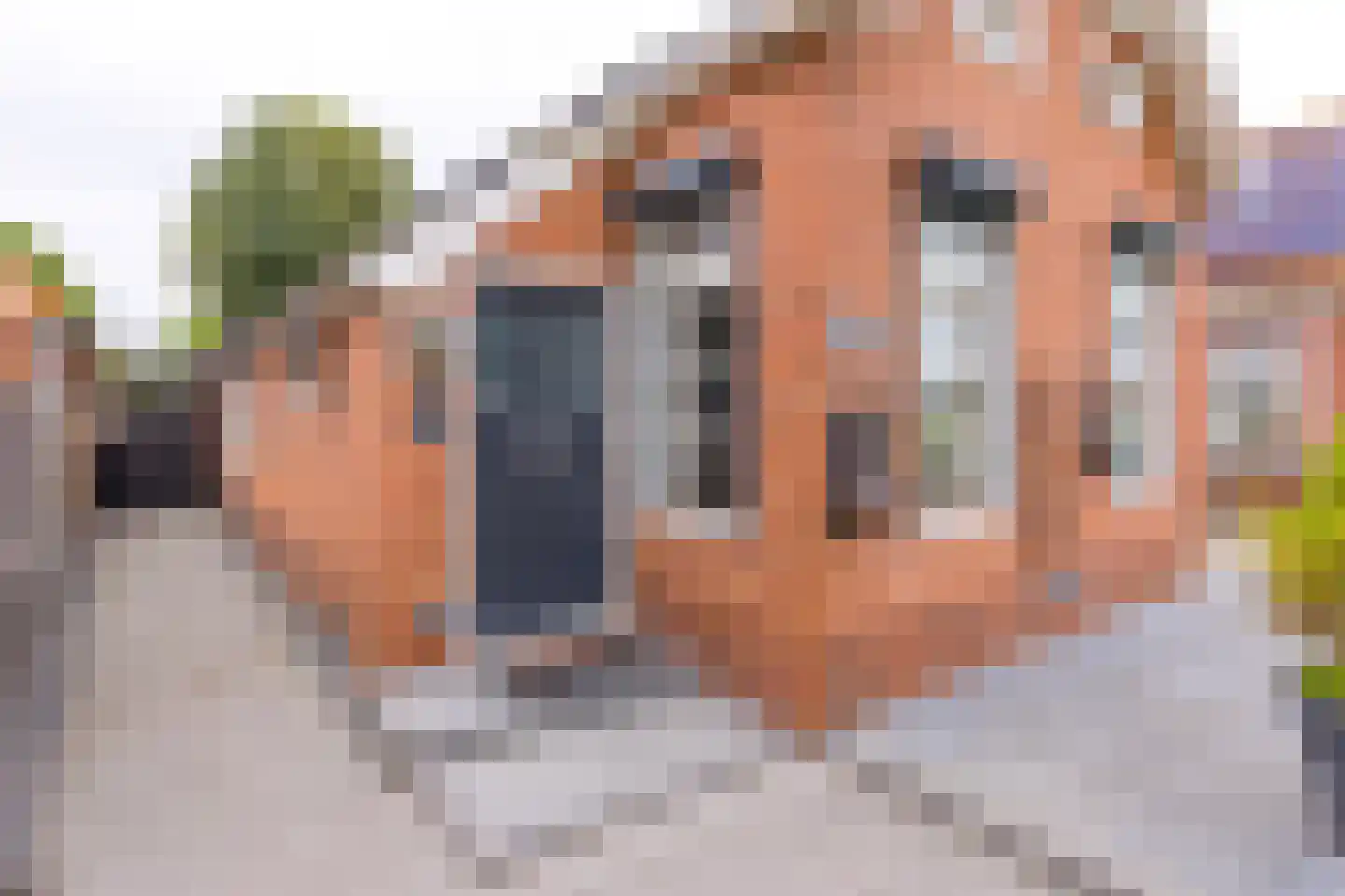 H.B. Hulsmanstraat I 32 B Nieuwe Pekela thumbnail 8