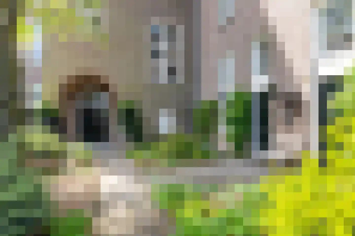 H.B.S.Laan 10 Oud-Beijerland thumbnail 53